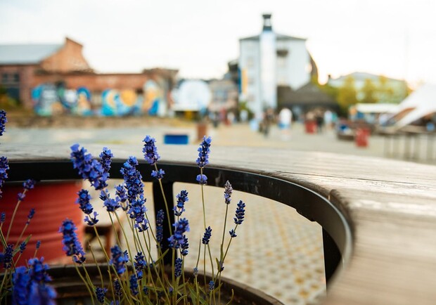 Фестиваль "Мистецтво Наближає Перемогу".