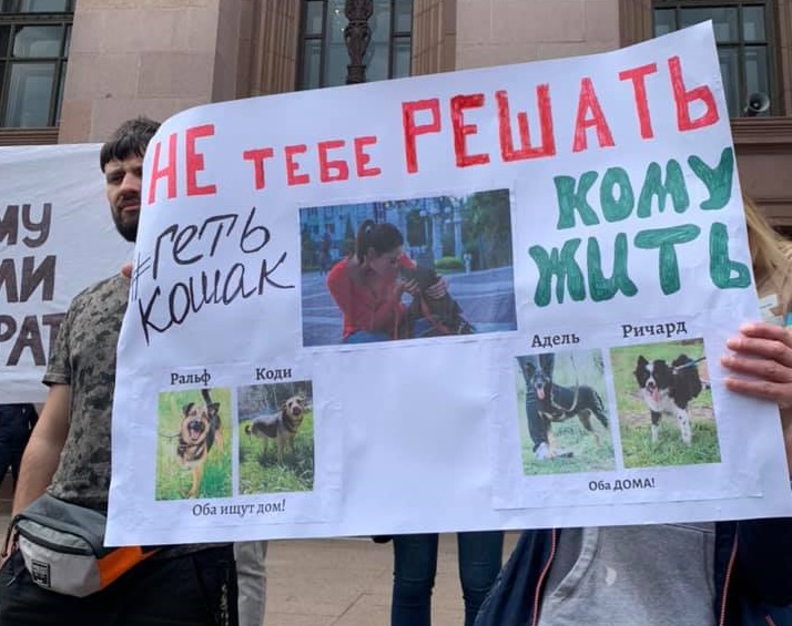 Без хліба і солі: зоозахисники вороже зустріли Оксану Кошак у Києві. Фото: Poglyad.tv.