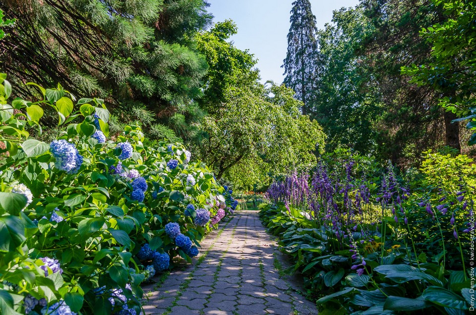 Ботанічний сад в Ужгороді. Фото: kwidoo-travel.com