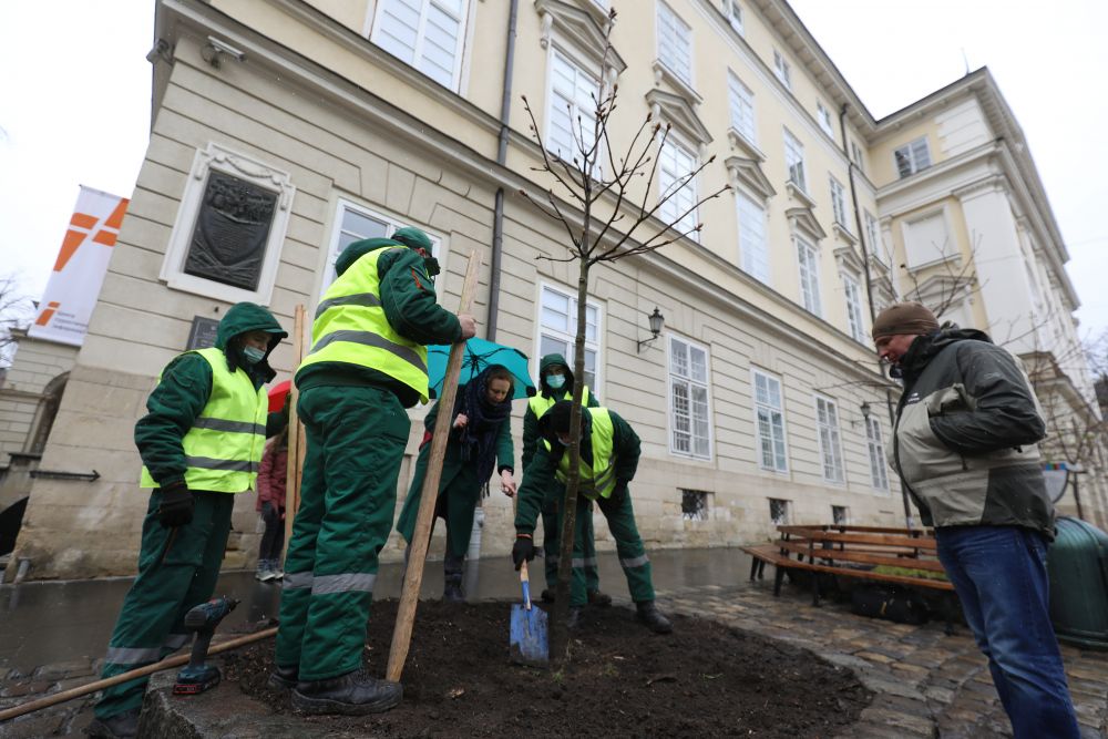 Мер Львова та тимчасово повірена у справах США в Україні посадили під ратушею каштан. Фото: Львівська міськрада.