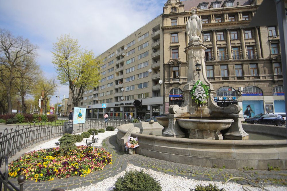 Все буде добре: святковий Львів заквіт тисячами барвистих братчиків  фото 1