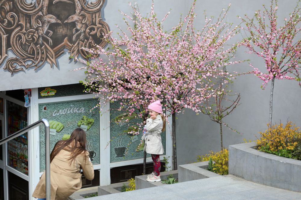 Все буде добре: святковий Львів заквіт тисячами барвистих братчиків  фото 4 3