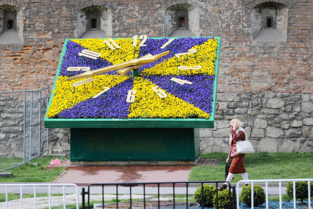 Все буде добре: святковий Львів заквіт тисячами барвистих братчиків  фото 9 8