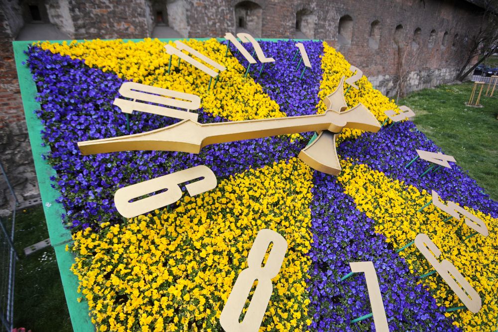Все буде добре: святковий Львів заквіт тисячами барвистих братчиків  фото 10 9