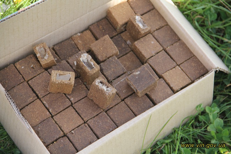 На Львівщині стартувала кампанію з імунізації диких тварин за допомогою авіатранспорту.Фото: Вінницька ОДА