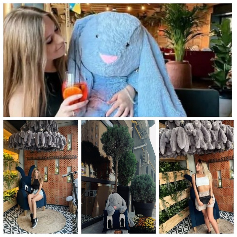 Інстаграмне місце: у Львові відкрили ресторан із зайцями.