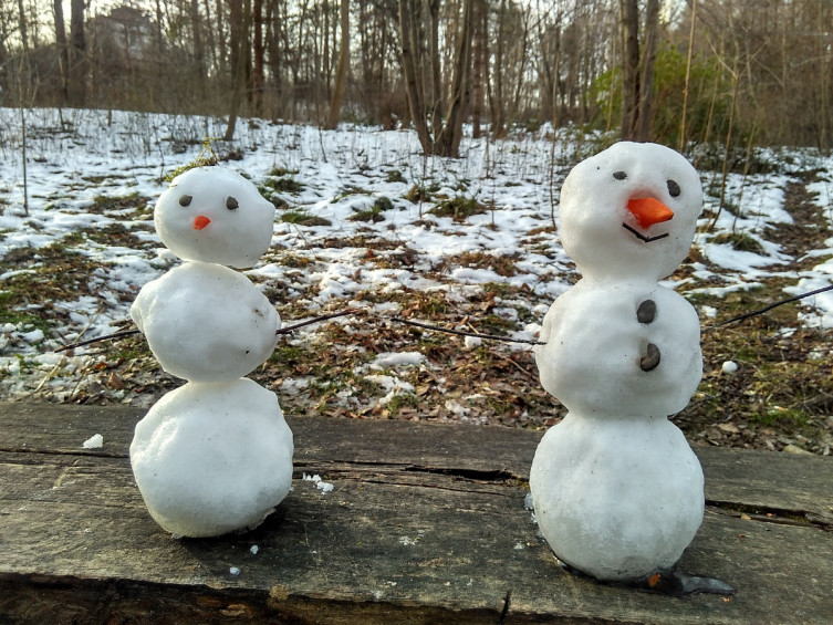 Цьогорічної зими Львів заполонили сніговики. Фото: lviv.depo.ua