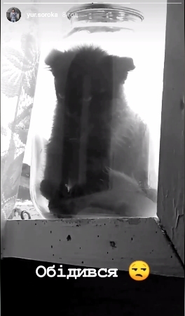 У Львові розшукують чоловіка, який закрив кота у банці. Фото: Патрульна поліція Львівщини. 