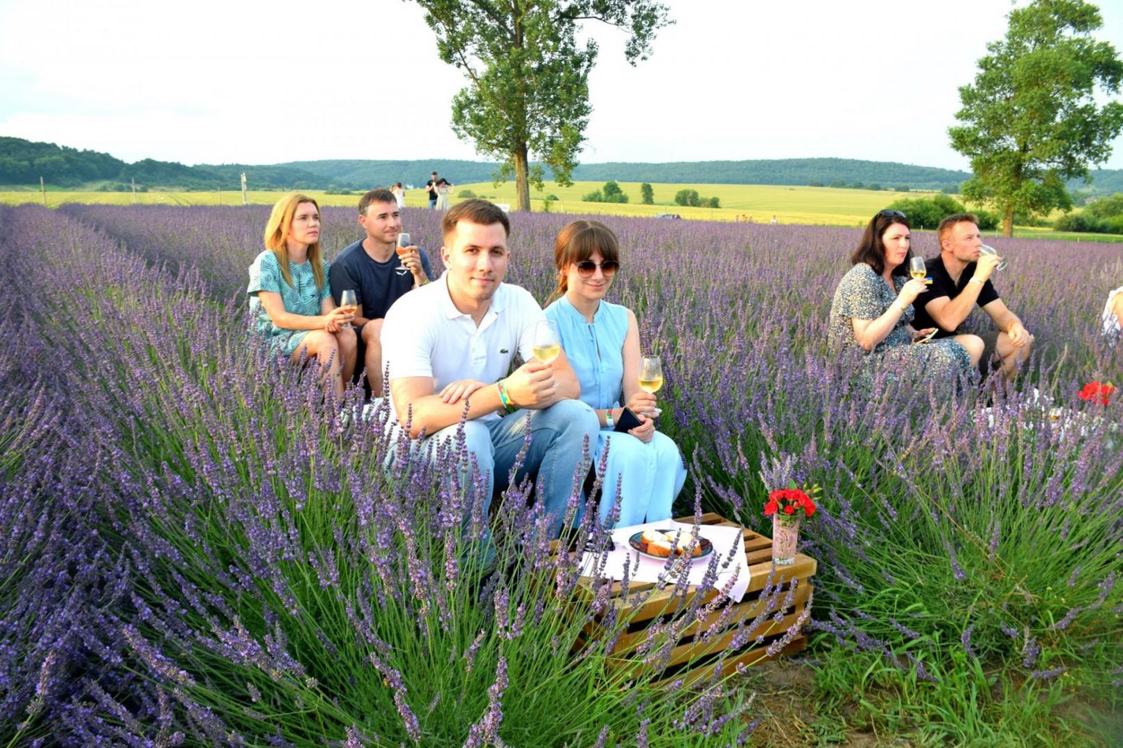 Казкові поля за 25 кілометрів від Львова. Фото: Львівська обласна адміністрація