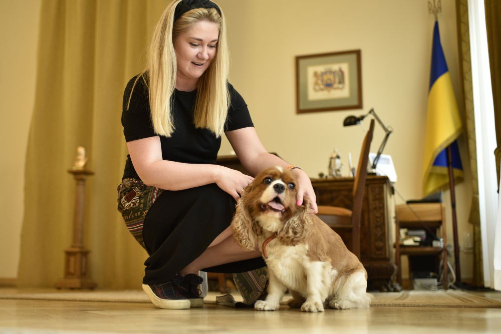 Мер Львова Андрій Садовий прийшов на роботу з собакою Йотамі. Фото: Маркіян Лисейко 