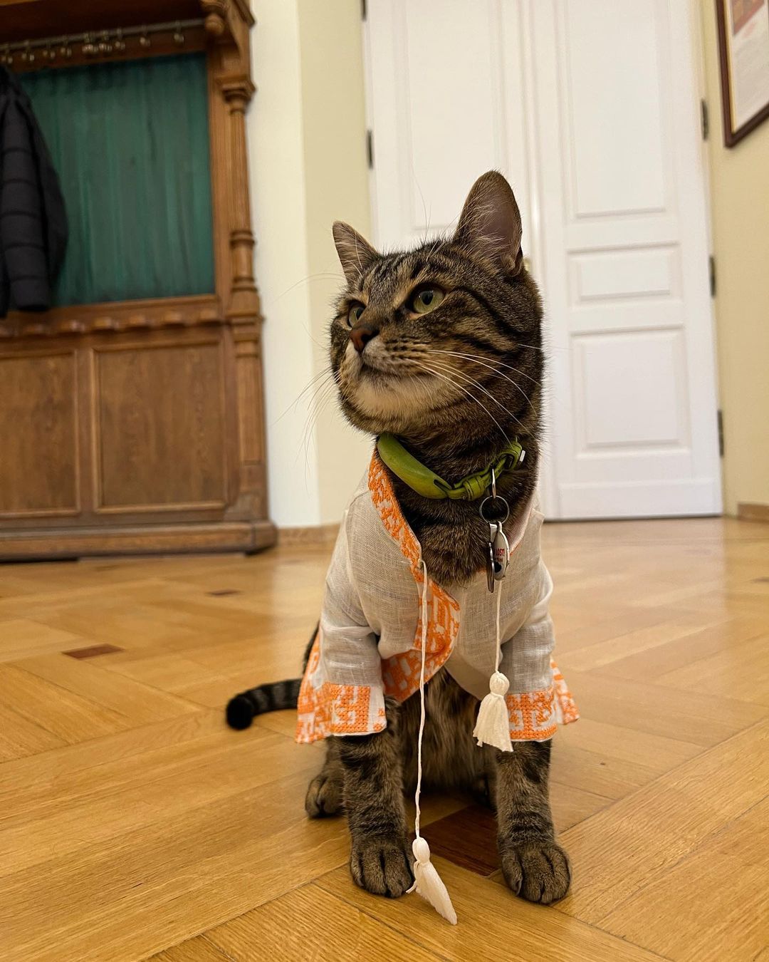 Кіт Андрія Садового носитиме ексклюзивну вишиванку.