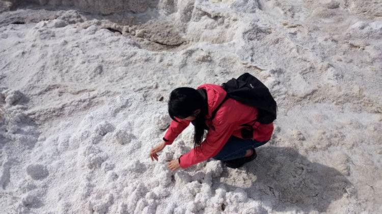 "Солоний острів" у полі біля Дрогобича.