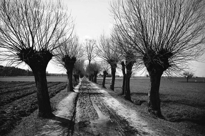 Дороги у Львові 100 років тому: у мережу виклали старі фото. Фото: Фотографії старого Львова