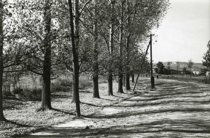 Львовознавці опублікували унікальні фото Замарстинова 1961 року. Фото: Фотографії старого Львова