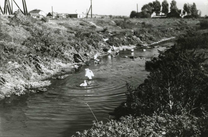 Львовознавці опублікували унікальні фото Замарстинова 1961 року. Фото: Фотографії старого Львова