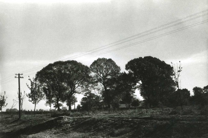 Львовознавці опублікували унікальні фото Замарстинова 1961 року. Фото: Фотографії старого Львова