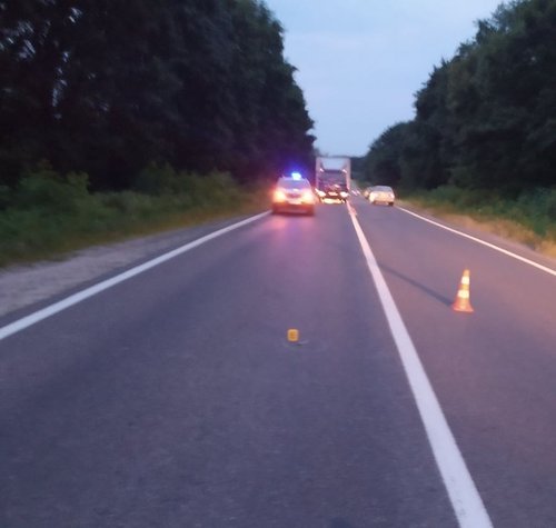 Збив і втік: поліція затримала п’яного винуватця смертельної ДТП біля Львова. Фото: поліція Львівщини.