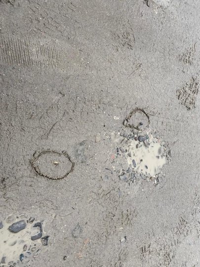 Жива мішень: біля Львова чоловік влаштував стрілянину по знайомому. Фото: поліція Львівщини