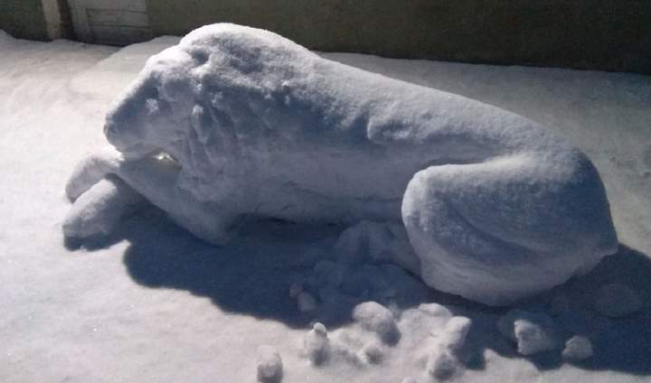 Сільський скульптор із Львівщини Володимир Дочич ліпить зі снігу левів. Фото: Володимир Дочич/Фейсбук