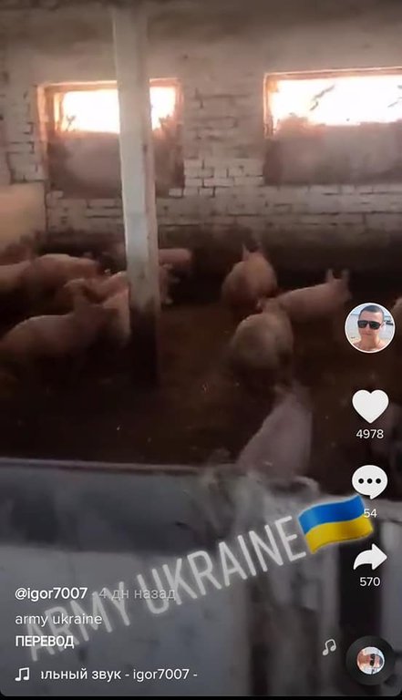 Прикордонник з Львівщини Ігор Шарун у TikTok порівняв бійців ЗСУ зі свинями. Скріншот відео зі сторінки Ігоря Шаруна. 