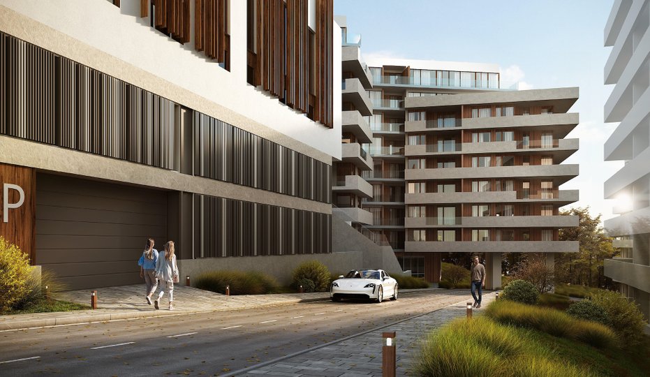 У лісі на Майорівці розпочнуть масштабне будівництво