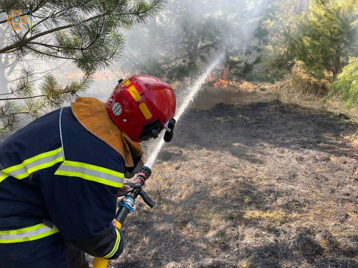 У селищі Куликів на Львівщині під час паління сухої трави загинула 76-річна жінка.