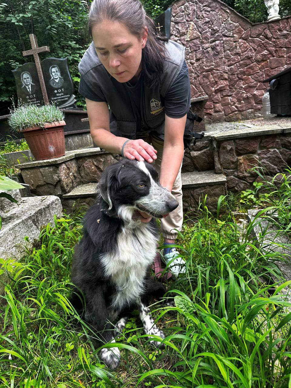 У парку у Львові знайшли тіло чоловіка, поруч із господарем кілька днів сидів собака.