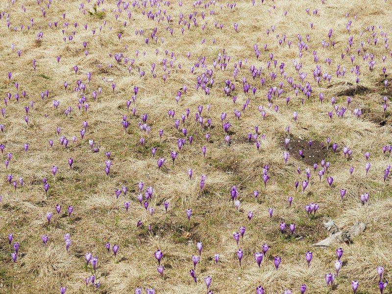 Фото: unsplash.com.