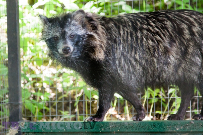 Екоцентр у Львові.
