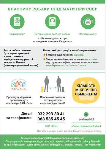 У Львові безкоштовно чіпуватимуть собак: все, що варто знати