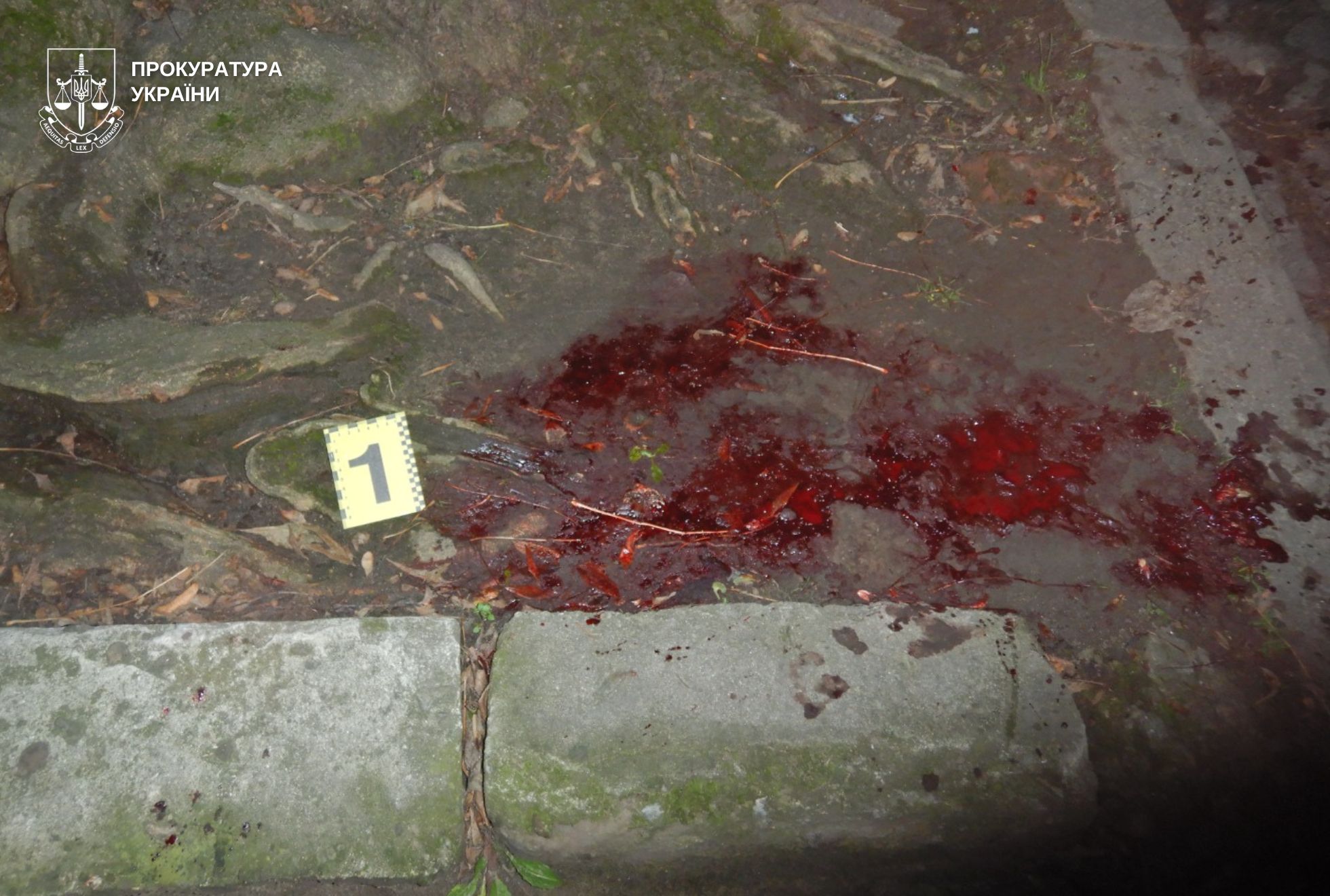 У Львові під час перевірки документів вбили працівника ТЦК: фото.