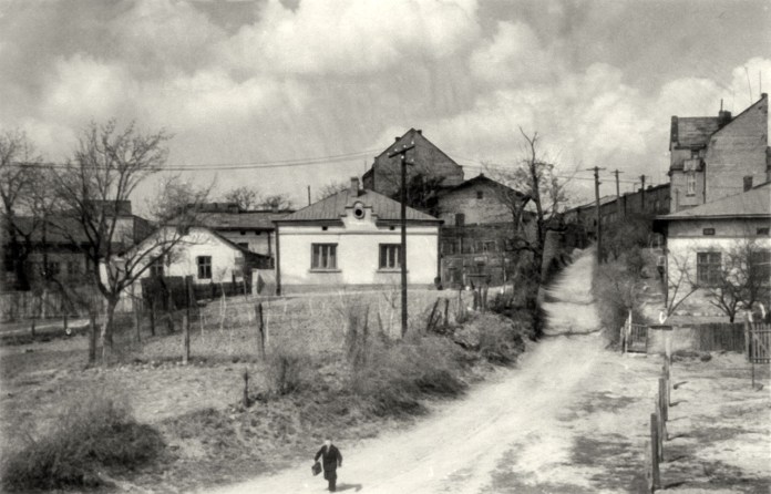 Невідомий Личаків: у мережу виклали чорно-білі світлини 1960 року. Фото: Фотографії старого Львова.