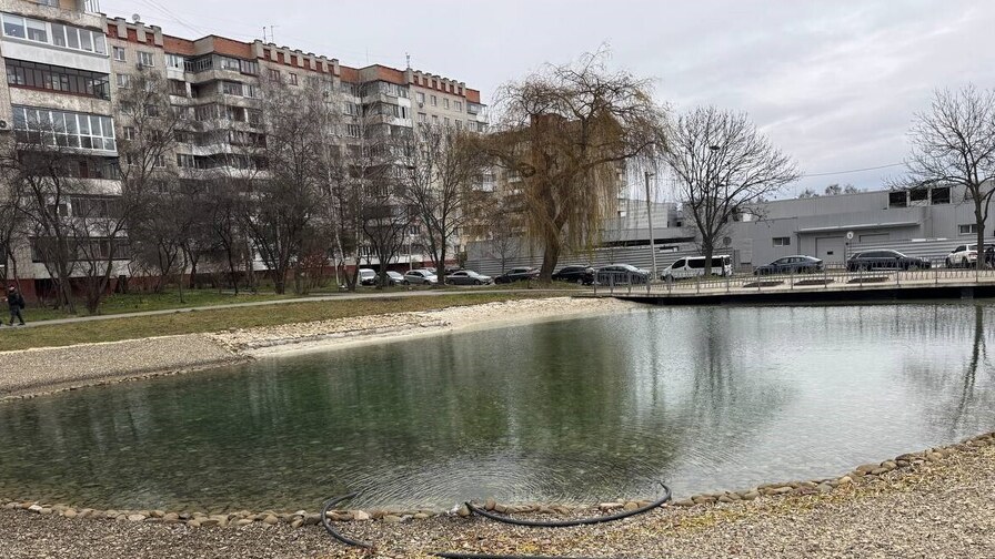 Як змінилося озеро на вулиці Панча у Львові: фото