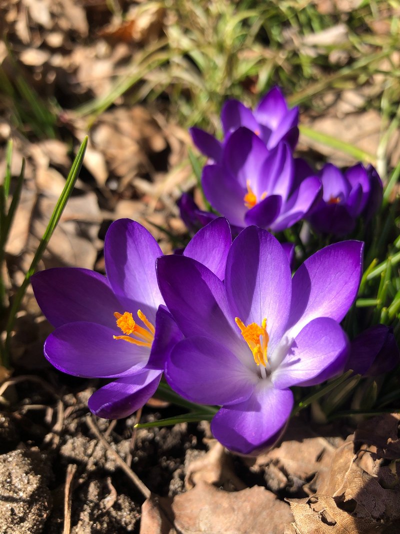 Фото: pexels.com.