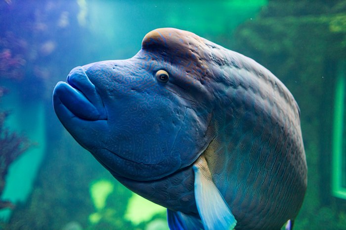 Куди піти у Львові з дітьми 21-24 серпня. Фото: unsplash.com