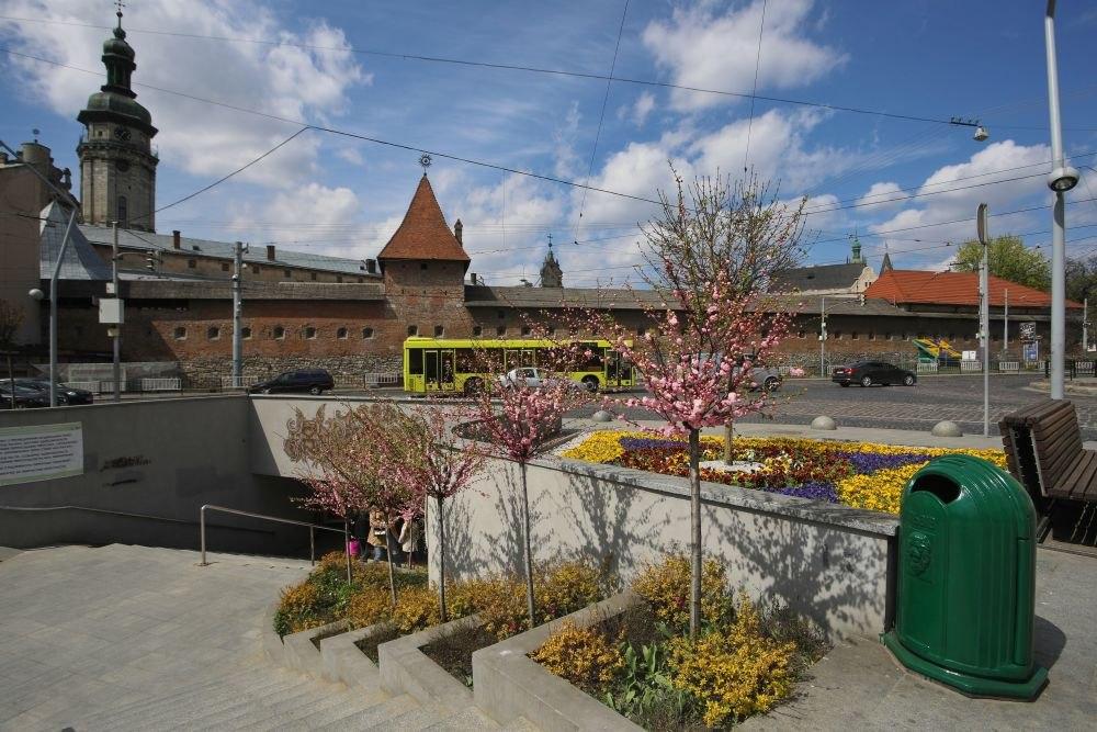 Все буде добре: святковий Львів заквіт тисячами барвистих братчиків  фото 6 5