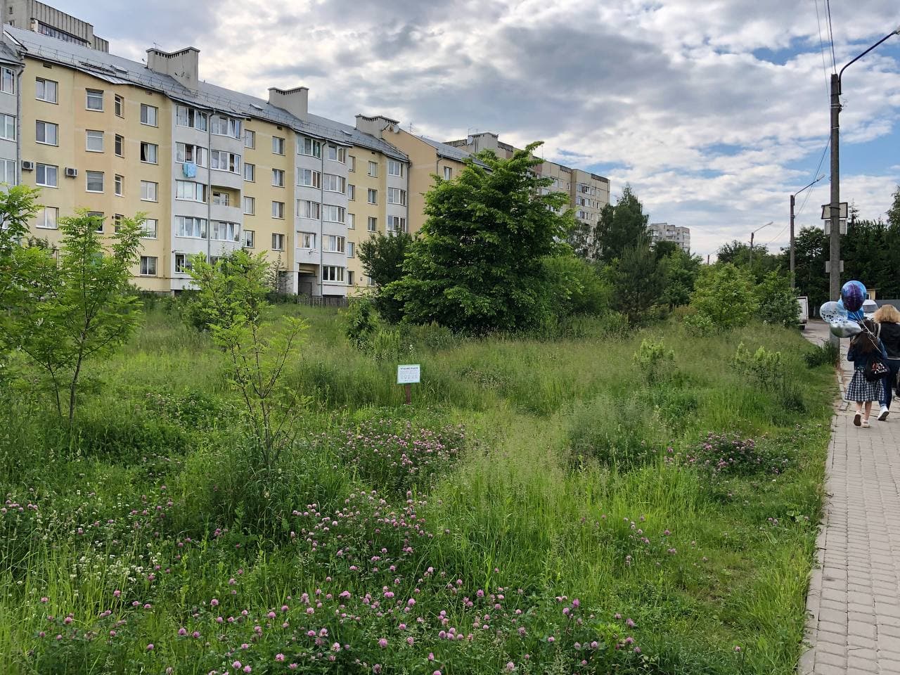 У зарослях у Сихівському районі ЛЬвова з'явилися нові таблички. Фото: VG Львів