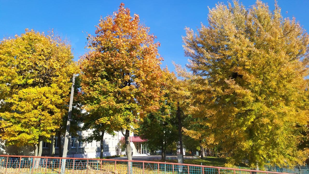 Золота осінь у Львові. Фото: Юрій Богун