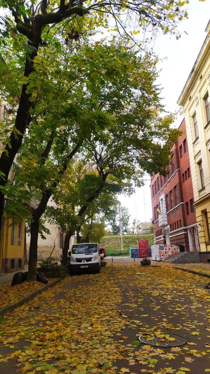 Золота осінь у Львові. Фото: Юрій Богун