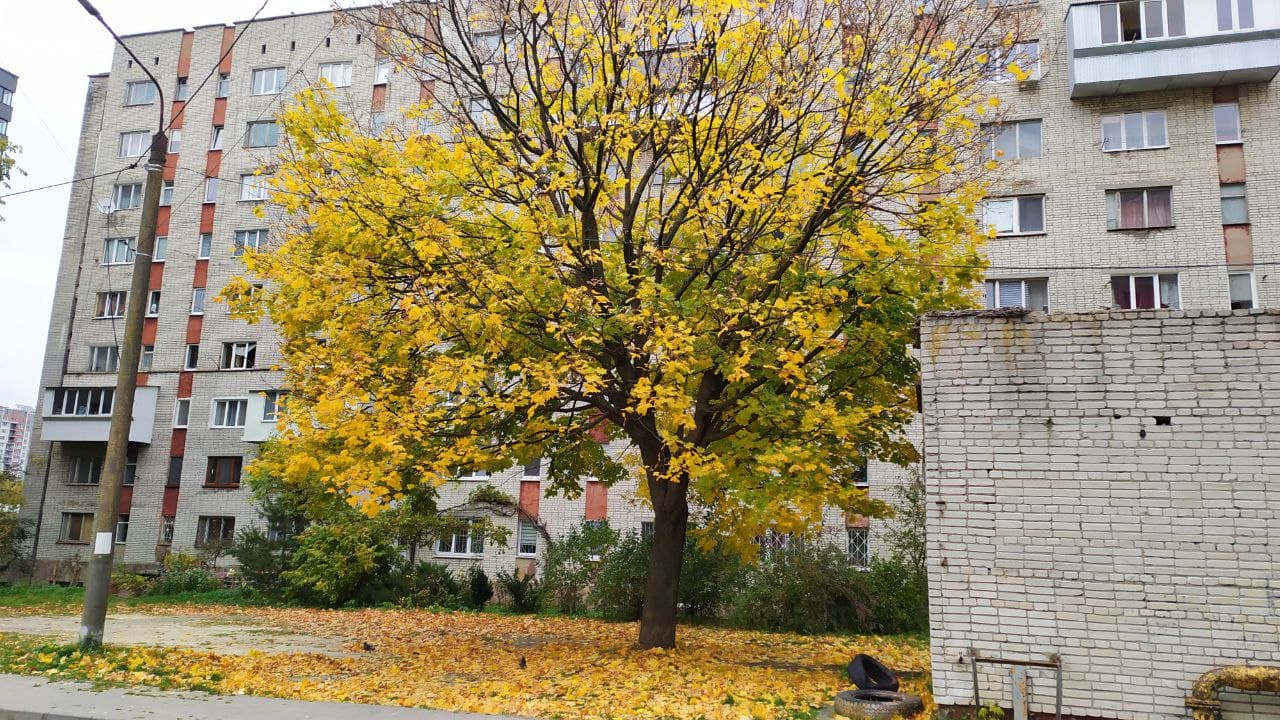 Золота осінь у Львові. Фото: Юрій Богун