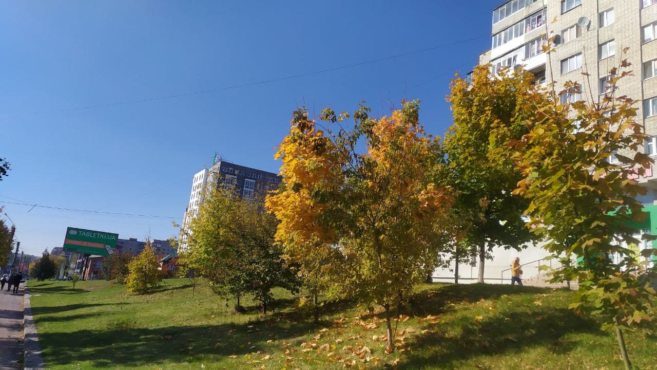 Золота осінь у Львові. Фото: Юрій Богун