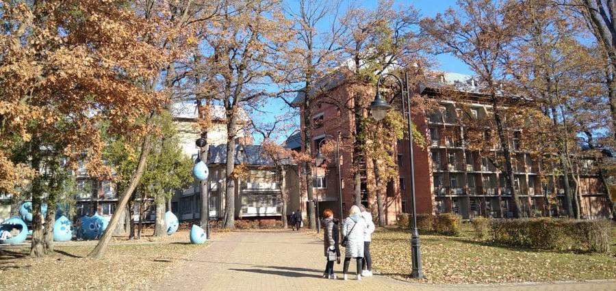 «Зелена пляма» у «червоній» зоні: як живе унікальне місто Моршин. Фото: Юрій Богун.