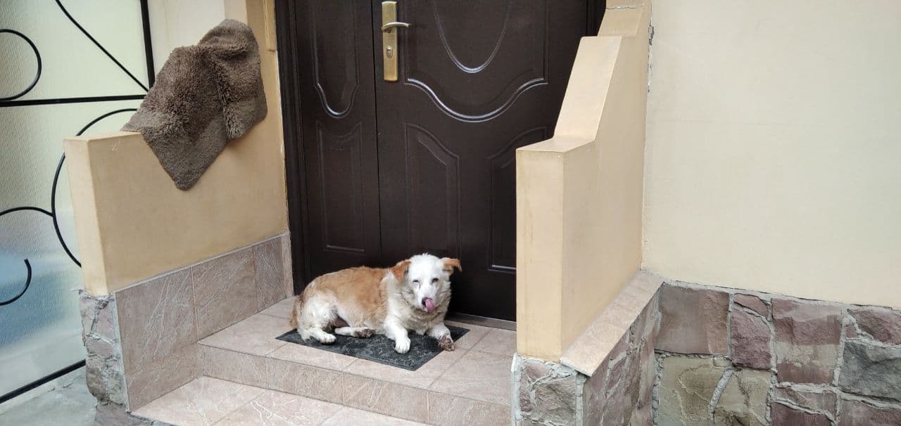 У Львові «декомунізували» популярний серед туристів радянський дворик. Фото: lviv.vgorode.ua