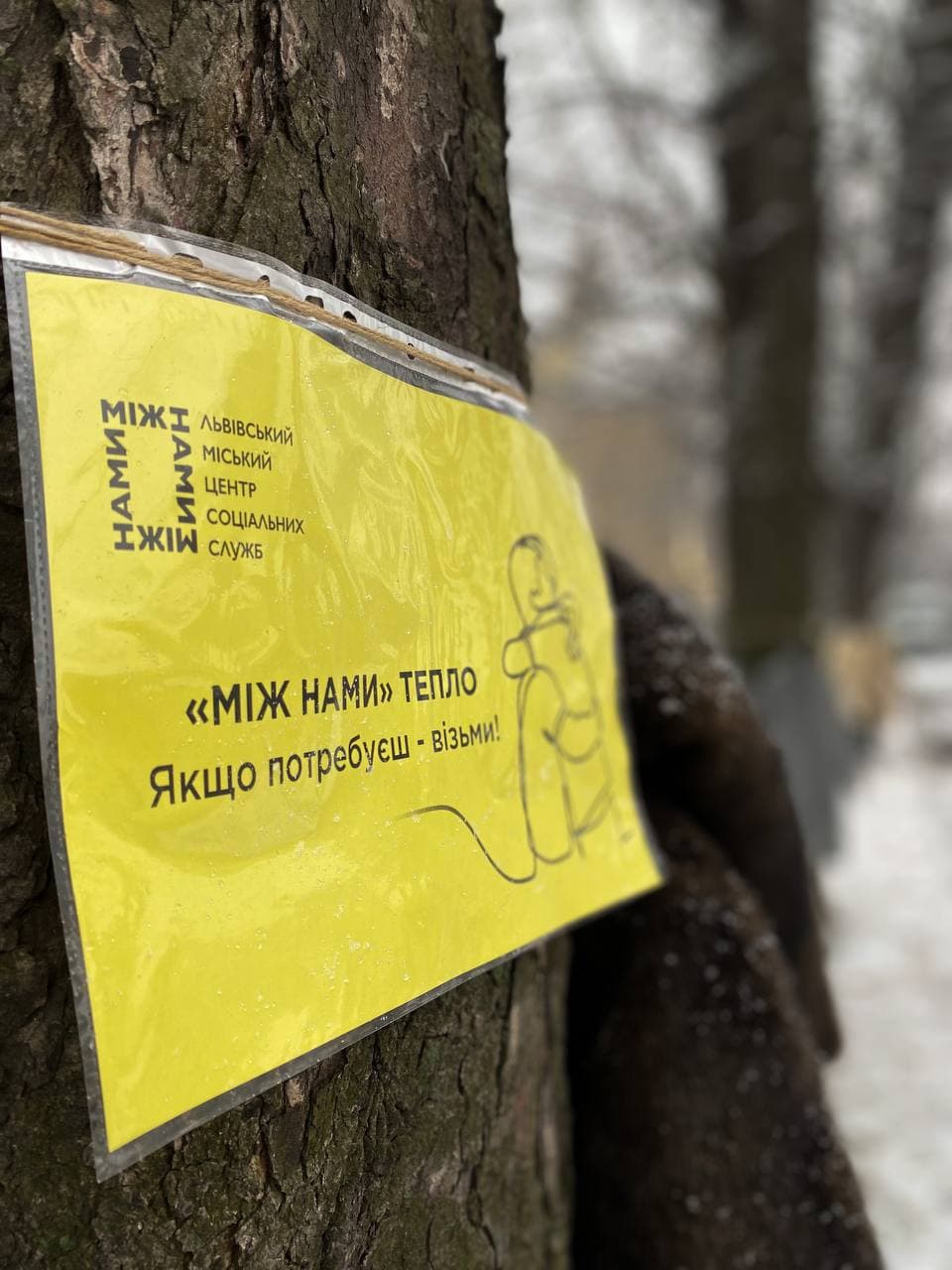 На деревах у львівському парку розвішали шуби, пальта і светри для безпритульних