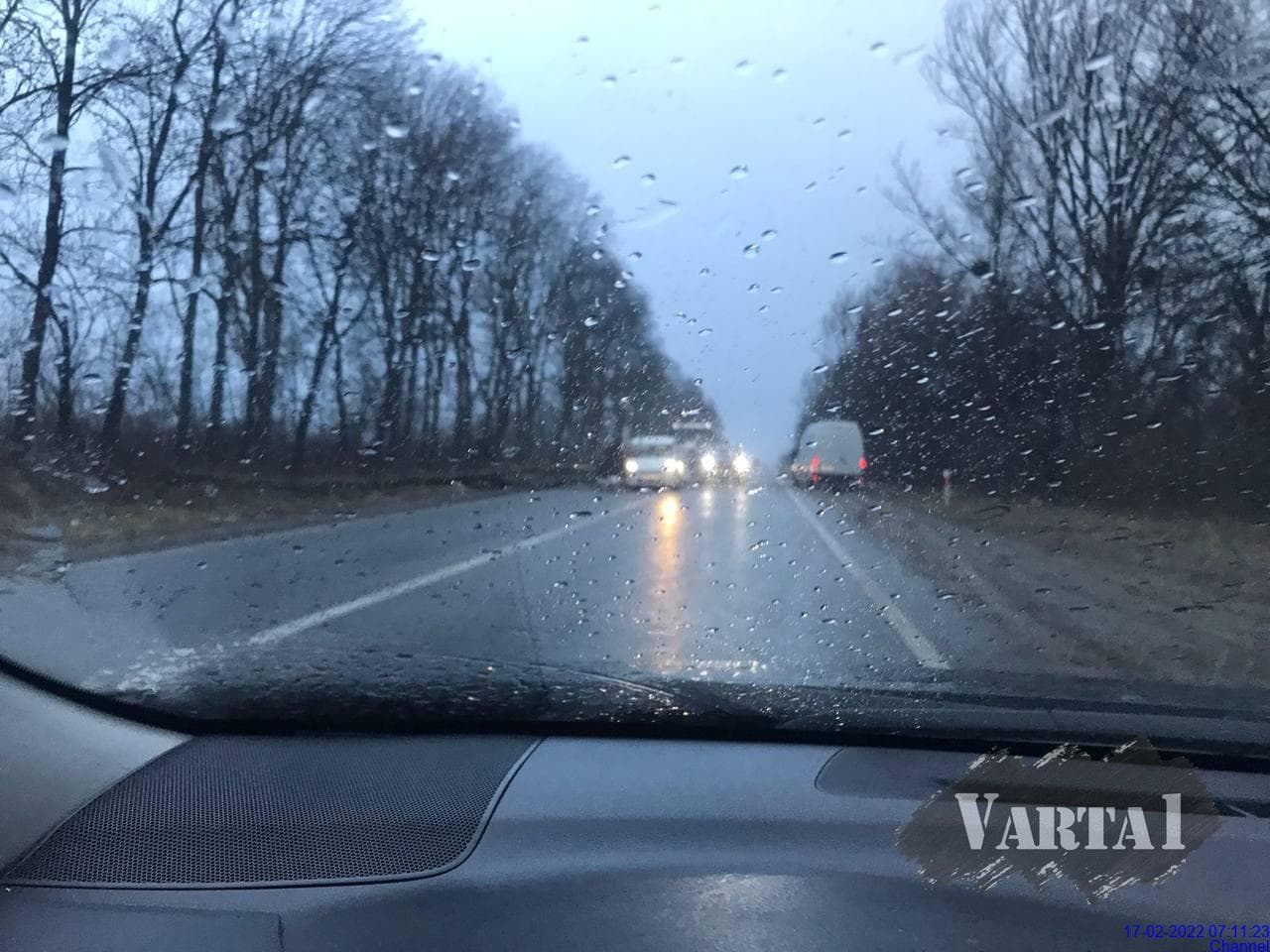 Біля Куликова водій врізався в автомобіль, на який впало дерево.