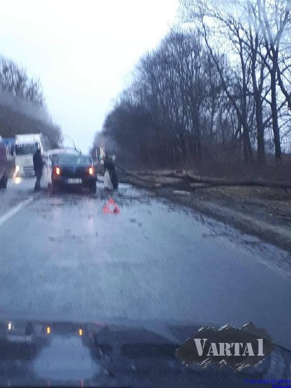Біля Куликова водій врізався в автомобіль, на який впало дерево.