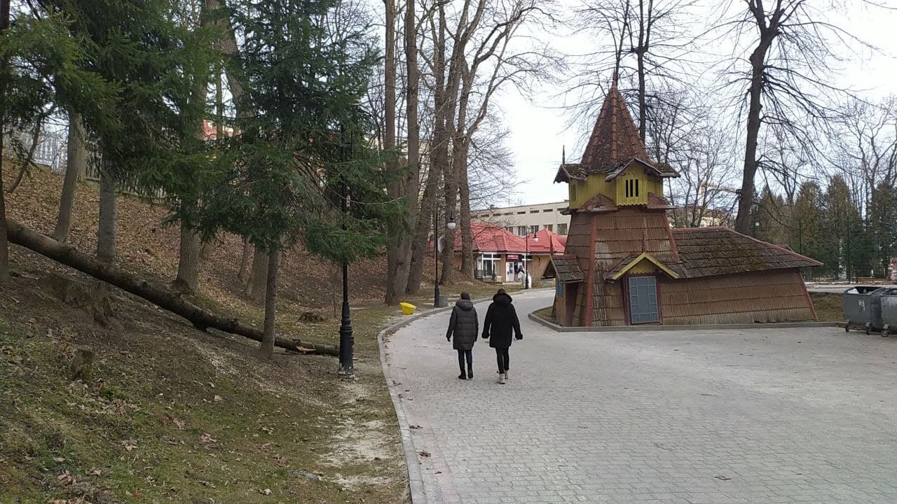 У Трускавці ураган повалив дерева з корінням.