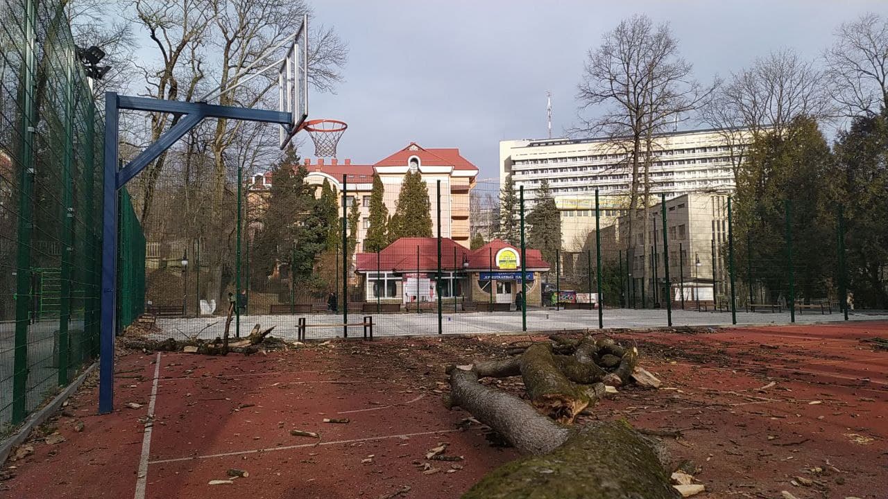 У Трускавці ураган повалив дерева з корінням.
