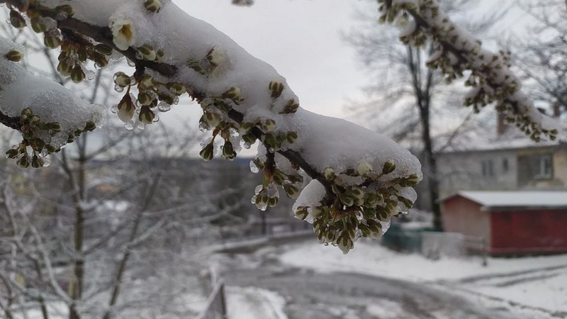 28 березня Львівщину засипало снігом.