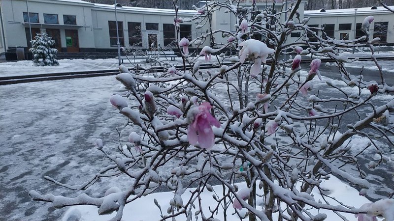 28 березня Львівщину засипало снігом.